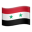 🇸🇾